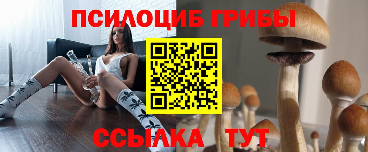 магазин    Псилоцибиновые грибы GOLDEN TEACHER  Кунгур  Вход с VPN  Галлюциногенные грибы MAGIC MUSHROOMS 